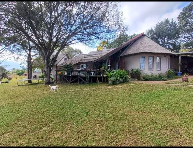 FARM FOR SALE IN LOUIS TRICHARDT RURAL